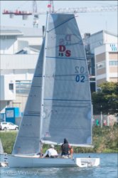 DS15 radius chine plywood sailboat sailing
